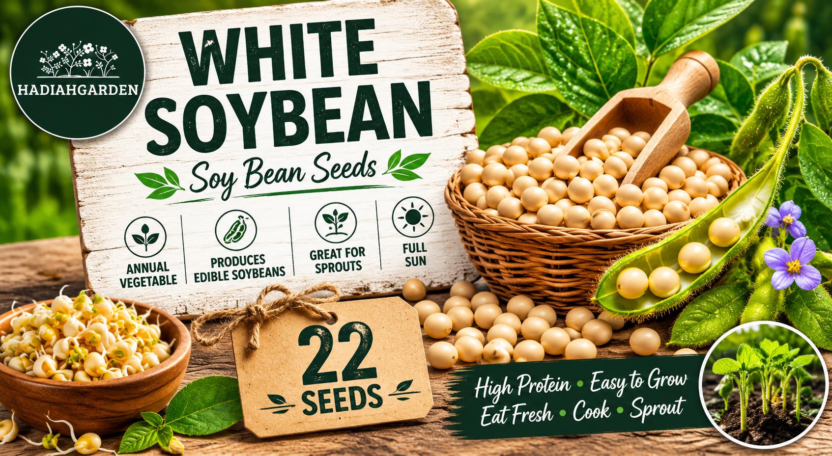 White Soybean Seeds – Glycine max, Edible Protein-Rich Beans for Home Gardens, Sprouting & Cooking, 22 Seeds