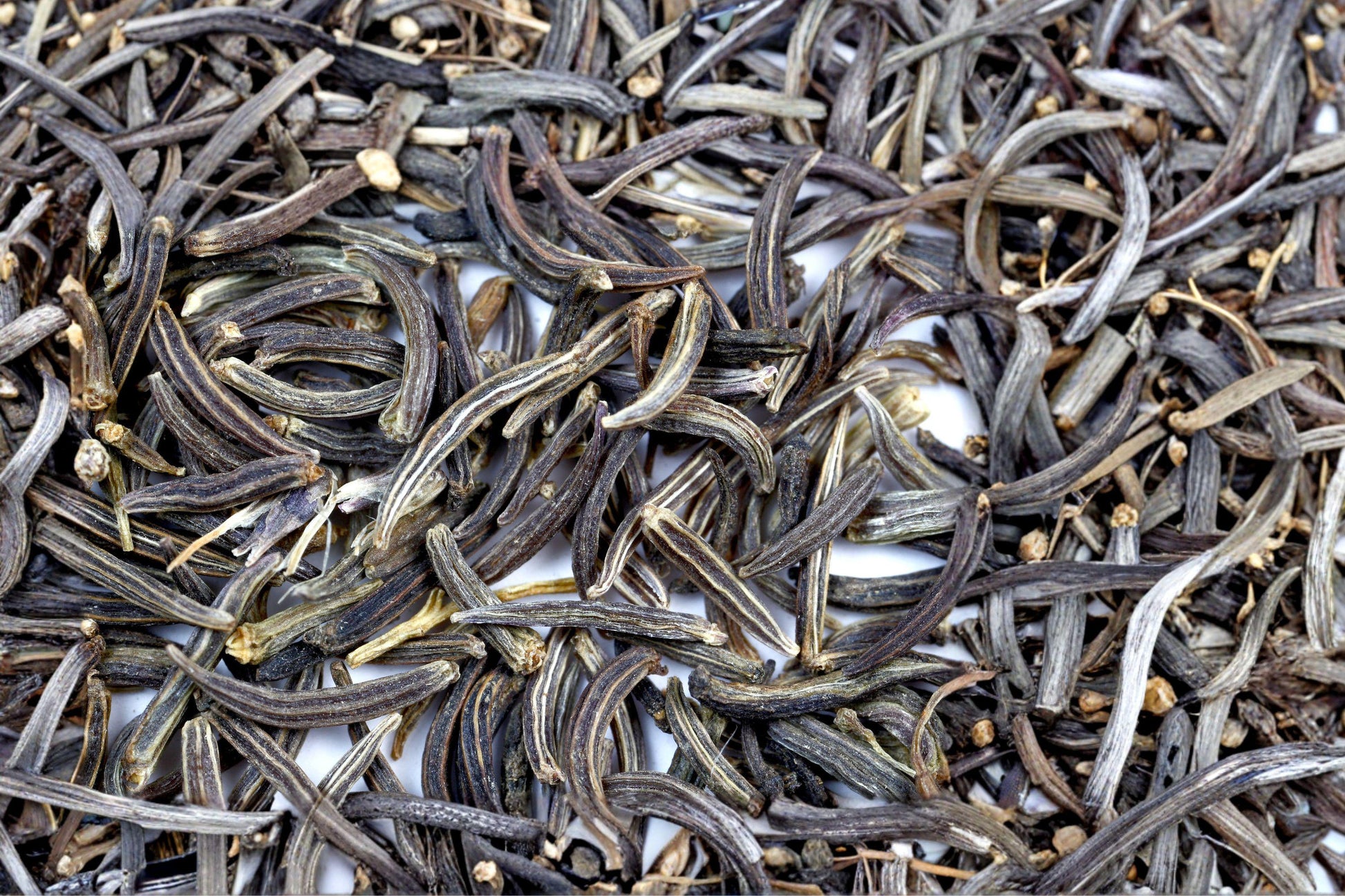 Black Cumin Seeds – Nigella sativa, Aromatic Annual Herb with Blue/White Flowers, Culinary Spice and Ornamental Plant, 100 Seeds