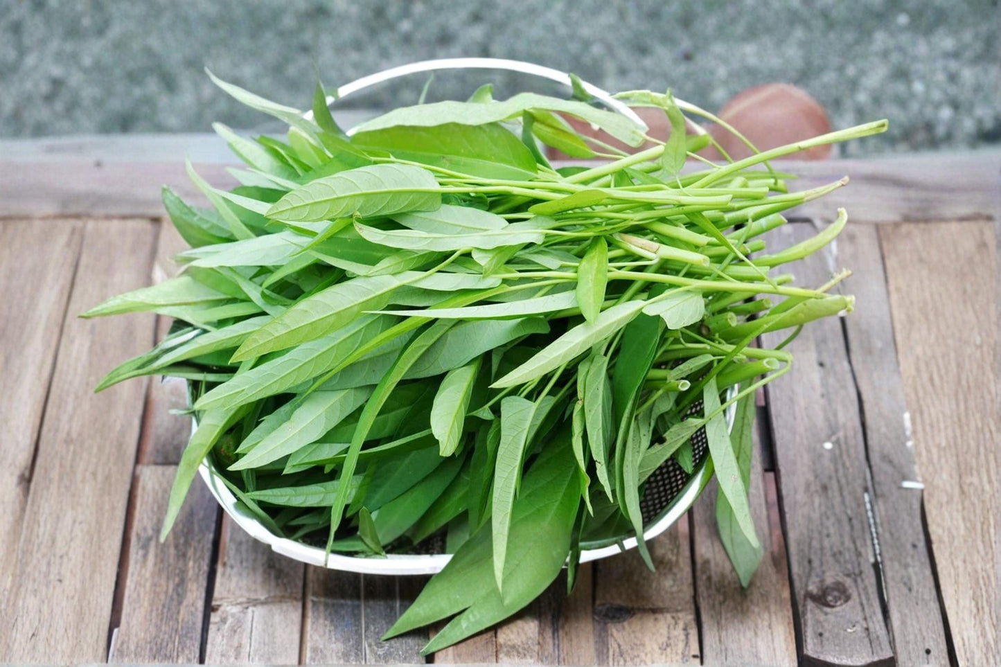 Water Spinach Seeds 500 Pack – Ipomoea aquatica, Ong Choy, Edible Leafy Vegetable, Fast-Growing Garden Plant