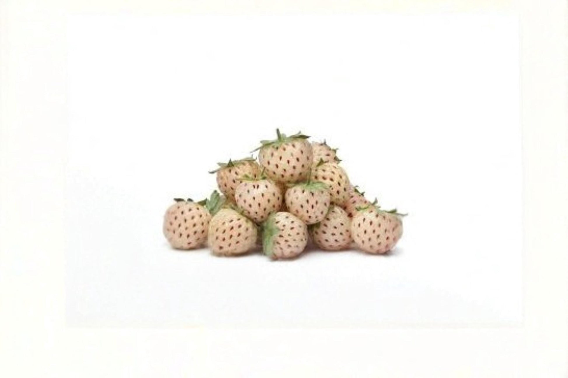 White Pineberry Strawberry Seeds – Fragaria × ananassa, Unique White Fruit, Edible Garden Berries, Ornamental Strawberry Plant