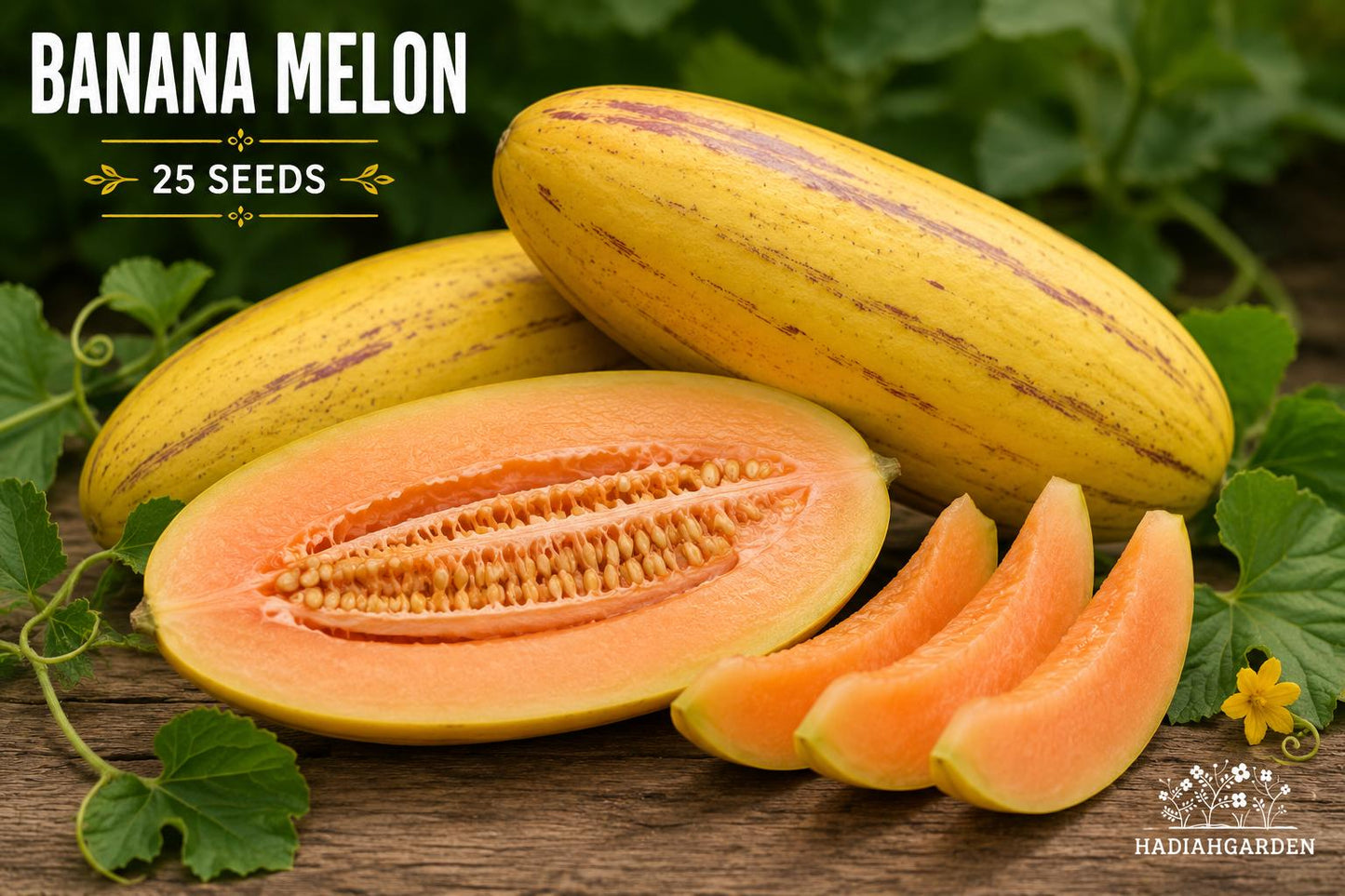Banana Melon Seeds – Cucumis melo Heirloom Fruit Vine with Salmon Flesh, Full Sun, 25 Seeds