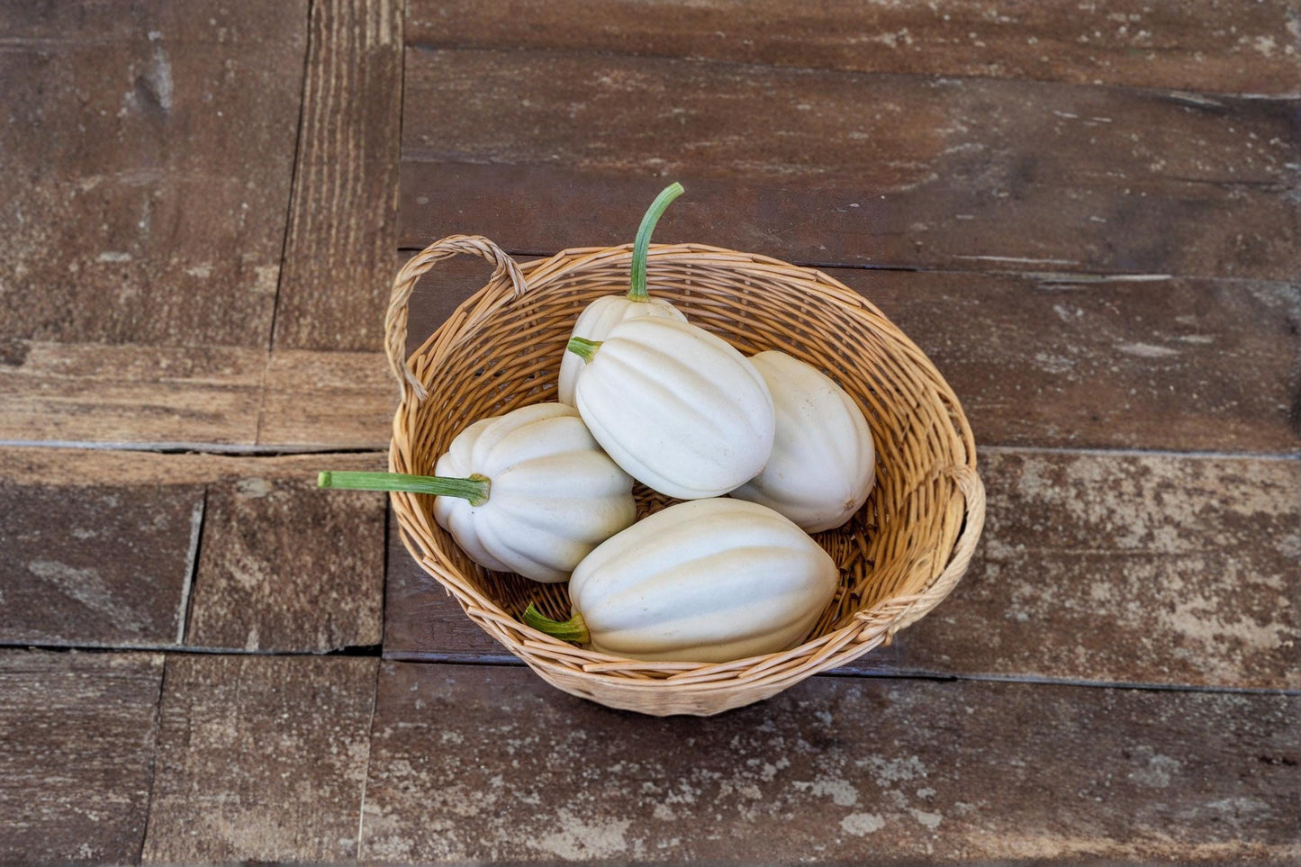 Mashed Potato Squash Seeds, Cucurbita maxima, White Gourmet Vegetable Vine, 10 Seeds for Home Garden Planting