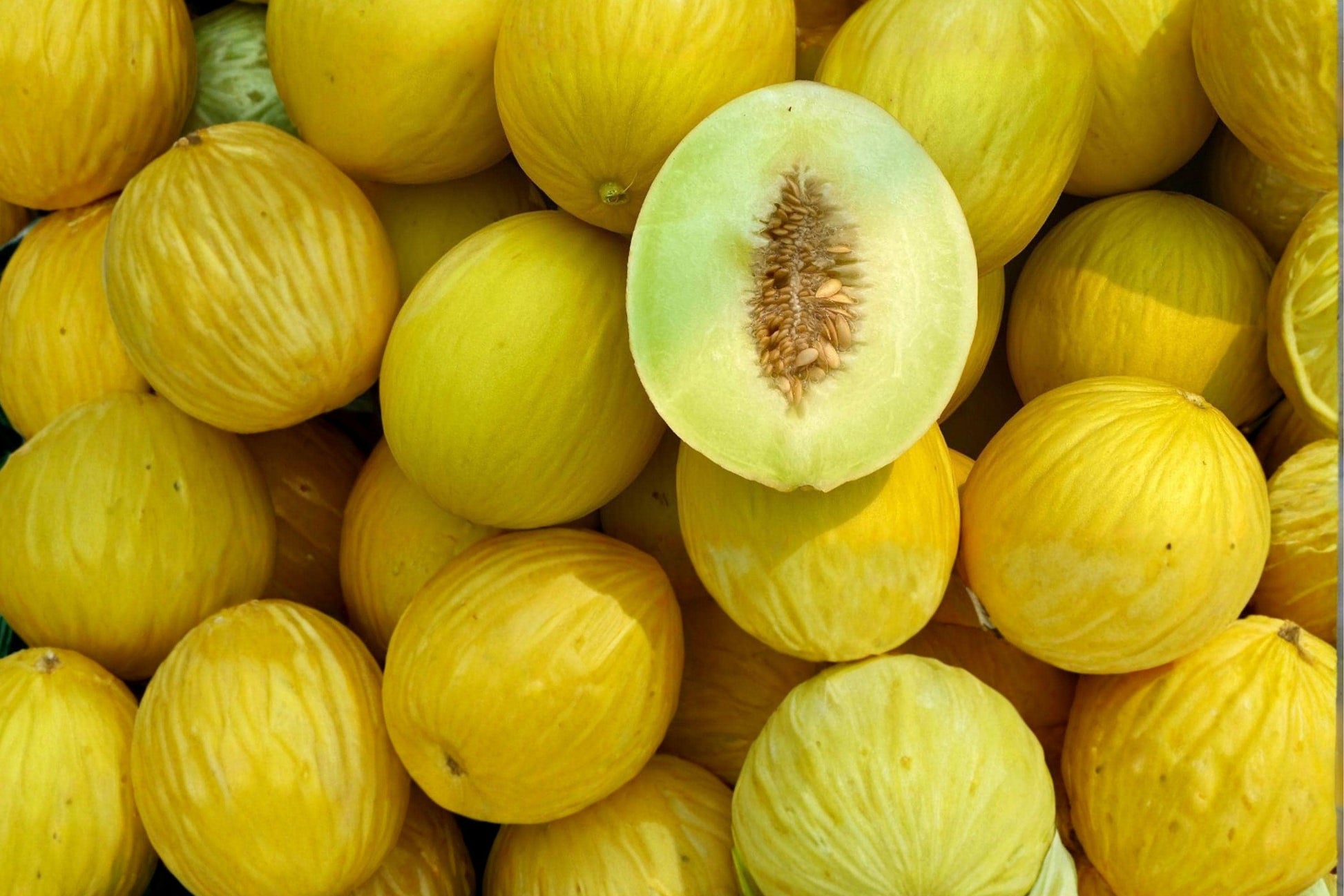 Canary Melon Seeds – Sweet Yellow Fruit, Cucumis melo, Annual Vining Plant for Home Garden, 30 Seeds