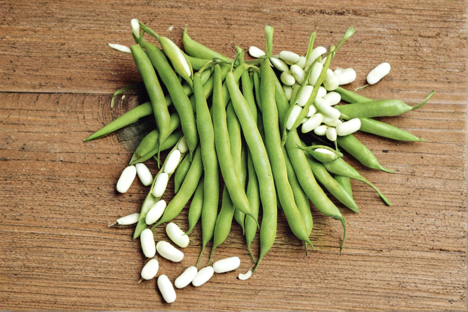 Navy Bean Seeds – White Kidney Bean Vegetable Seeds for Home Garden, Container, Raised Bed – Phaseolus vulgaris