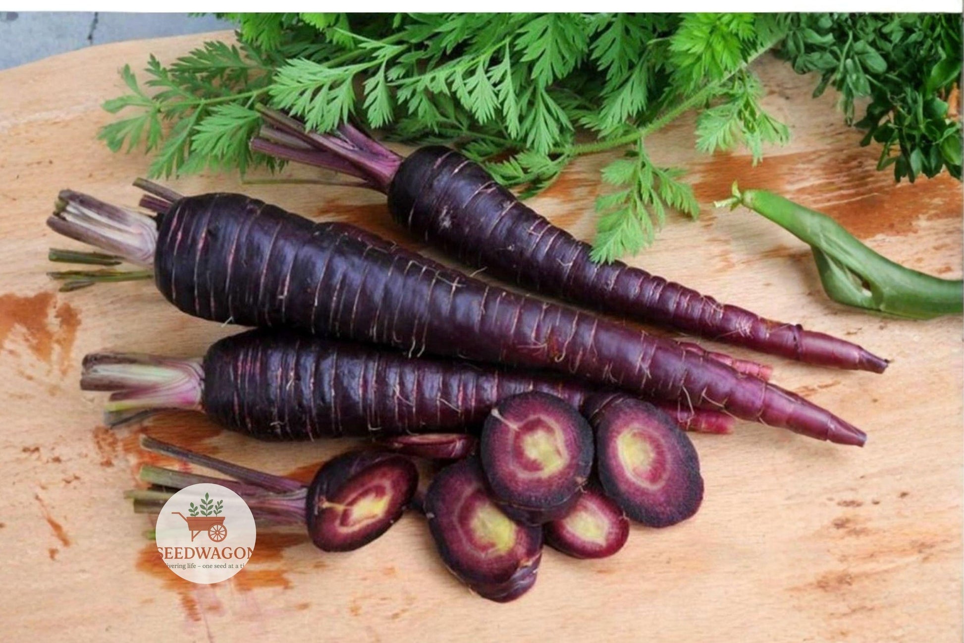 purple haze carrot seeds, hybrid non-GMO carrots, colorful root vegetables, gourmet carrot seeds, sweet flavor carrot seeds, purple carrot gardening, edible root vegetable seeds, heirloom style carrots, vegetable garden seeds, roasting and juicing carrots, vibrant garden harvest, easy grow carrot seeds, unique purple vegetable