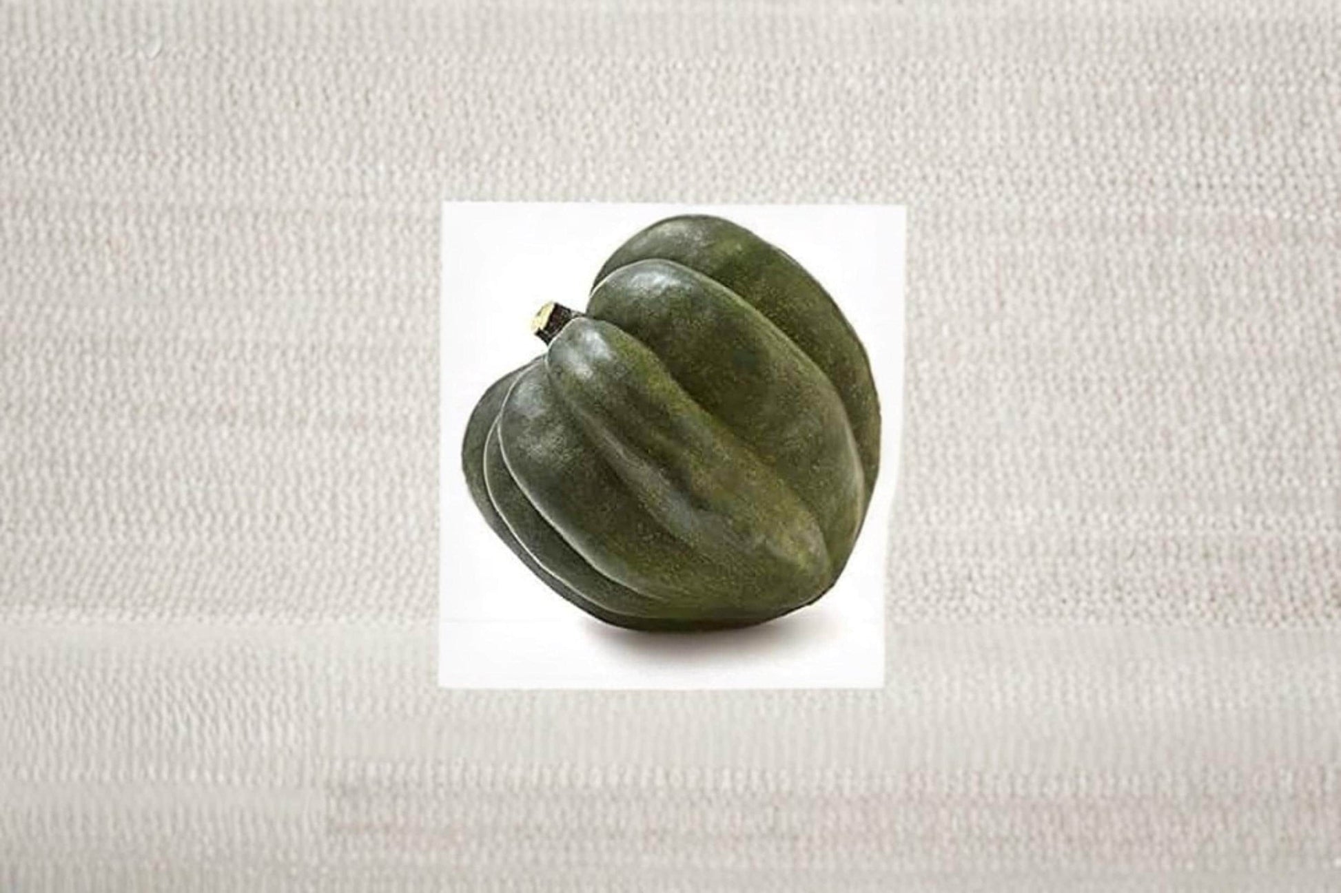 Giant Acorn Squash Seeds – Cucurbita pepo Vegetable Garden Variety, Edible Fall Harvest, 50 Seeds