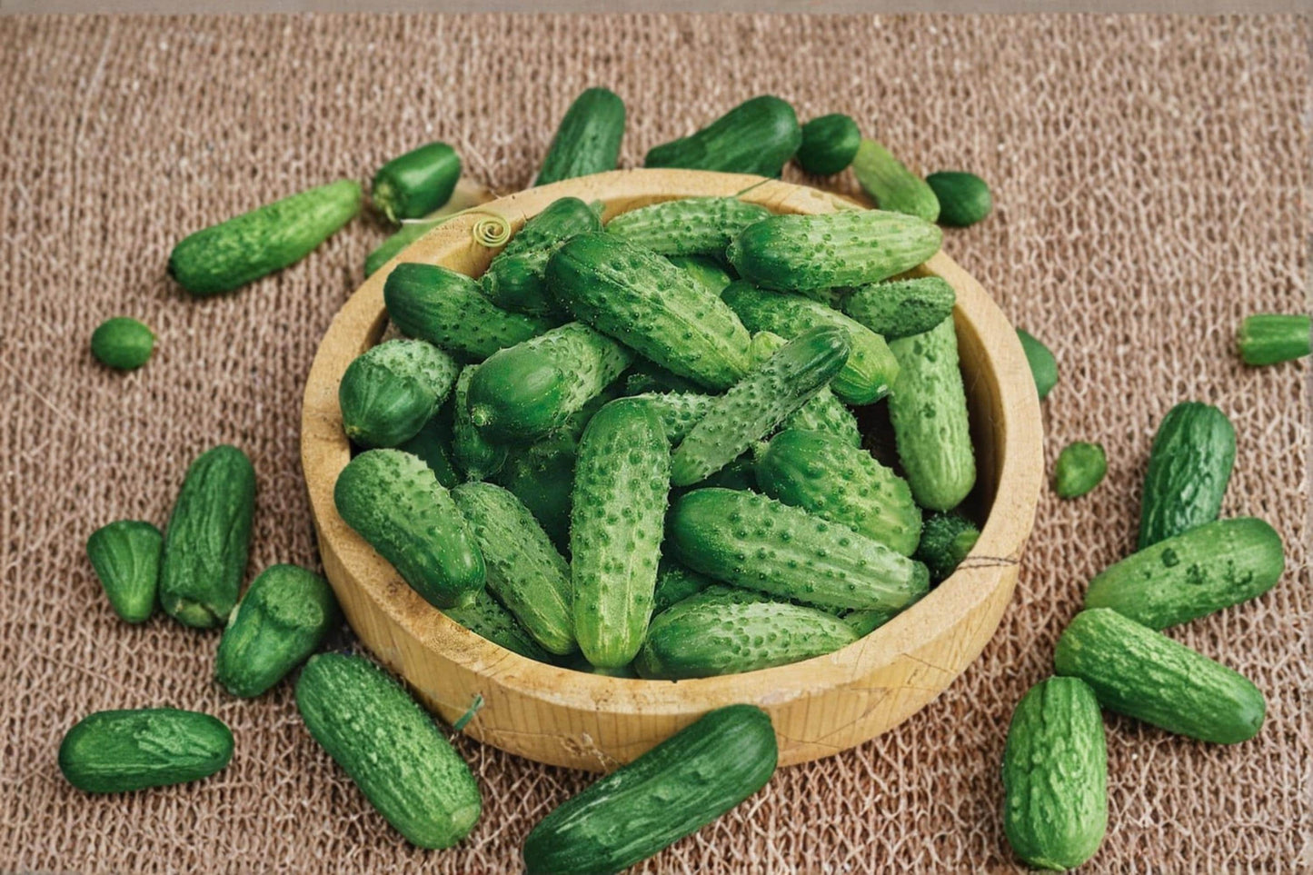 Parisian Gherkin Cucumber Seeds – Compact Heirloom Cucumis sativus for Pickling & Fresh Use