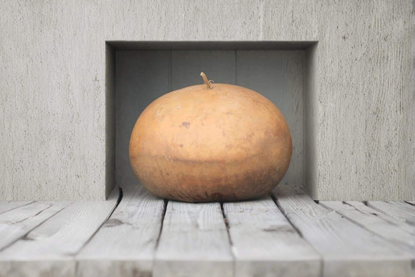 Bushel Gourd Seeds, Ornamental Vine, Giant Round Gourds for Planting, Lagenaria siceraria
