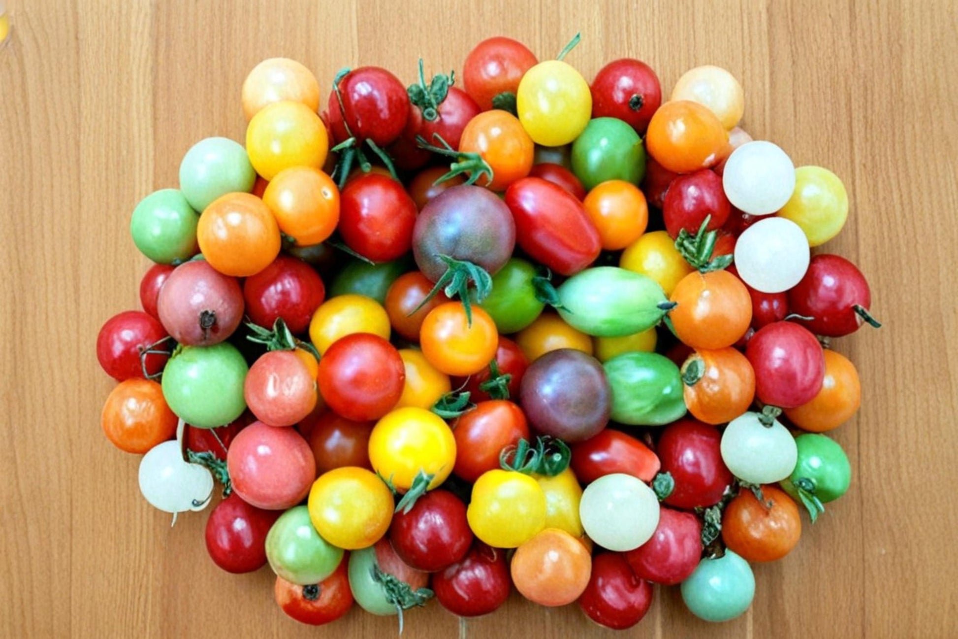 Rainbow Cherry Tomato Seeds – 100+ Heirloom Solanum lycopersicum for Colorful Cherry Tomatoes in Garden & Containers