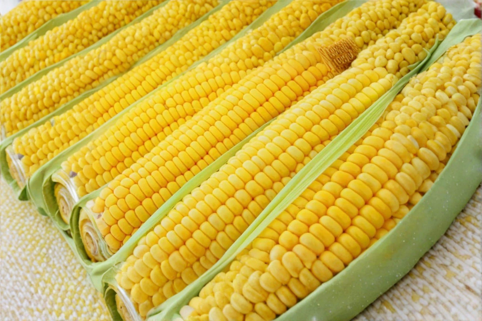Incredible Yellow Sweet Corn Seeds – Hybrid Zea mays, Large Yellow Ears, Fast-Growing Vegetable for Garden & Raised Beds