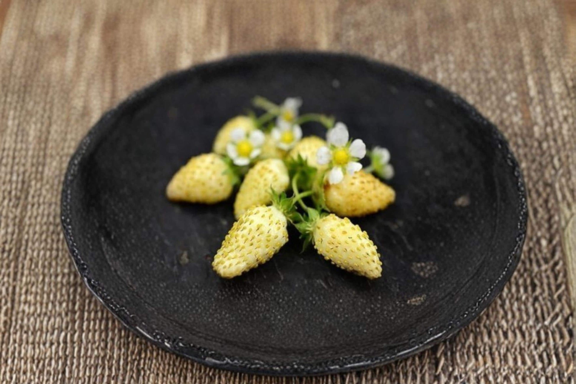 Yellow Alpine Strawberry Seeds – Non-GMO Fragaria vesca Fruit Planting Kit for Garden & Containers