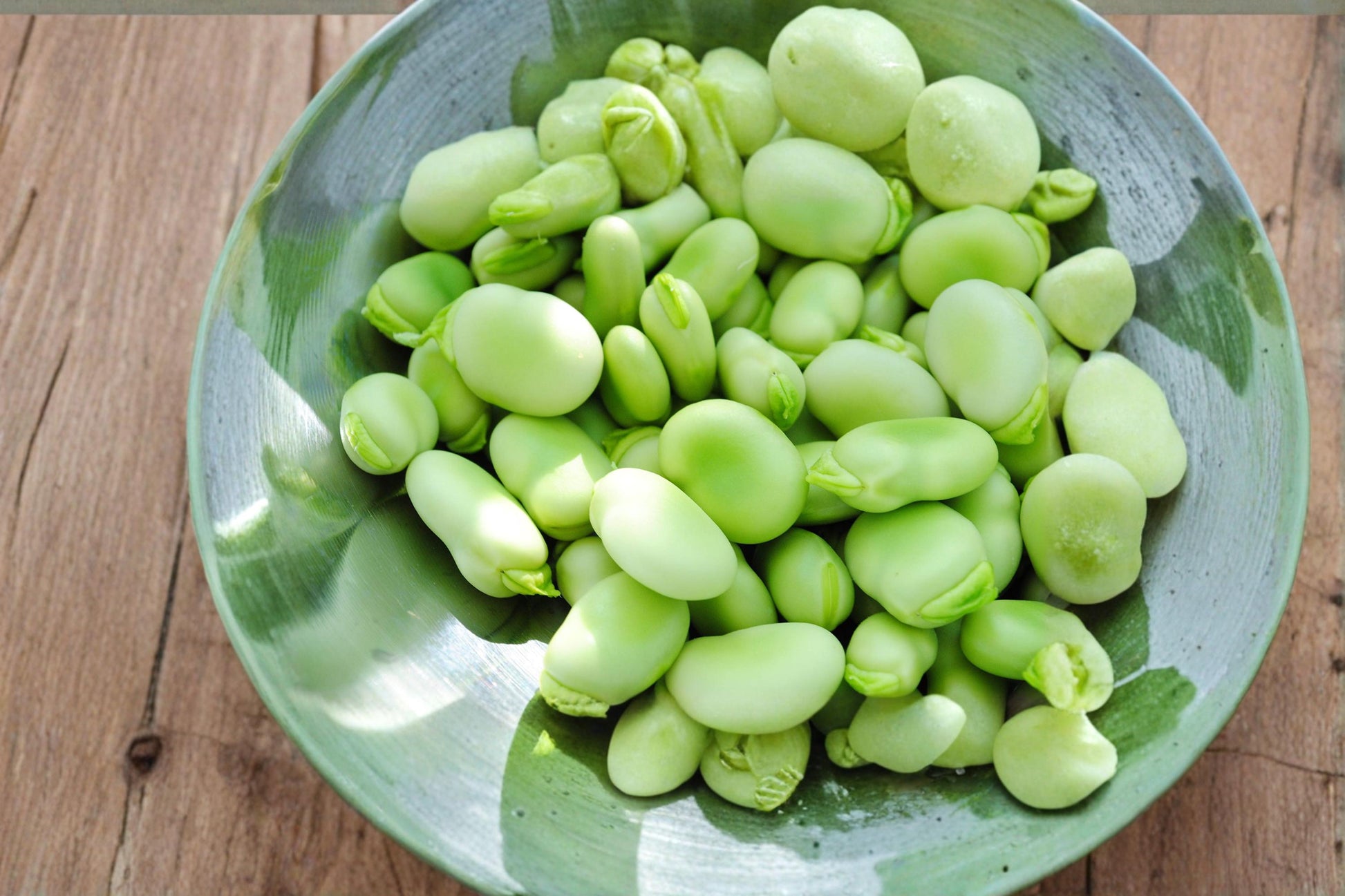 Aquadulce Fava Bean Seeds – Vicia faba, Heirloom Cool-Season Vegetable, Green Pods, Garden Seeds for Raised Beds & Vegetable Gardens