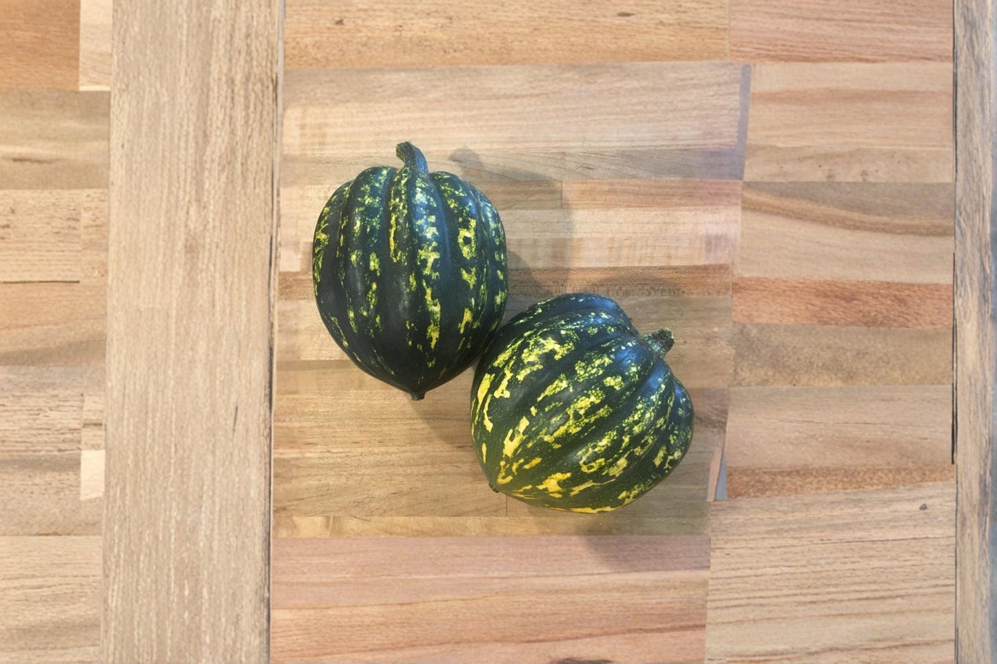 Starry Night Acorn Squash Seeds – Ornamental & Edible Cucurbita pepo, Speckled Green & Cream, Vining Vegetable for Fall Gardens