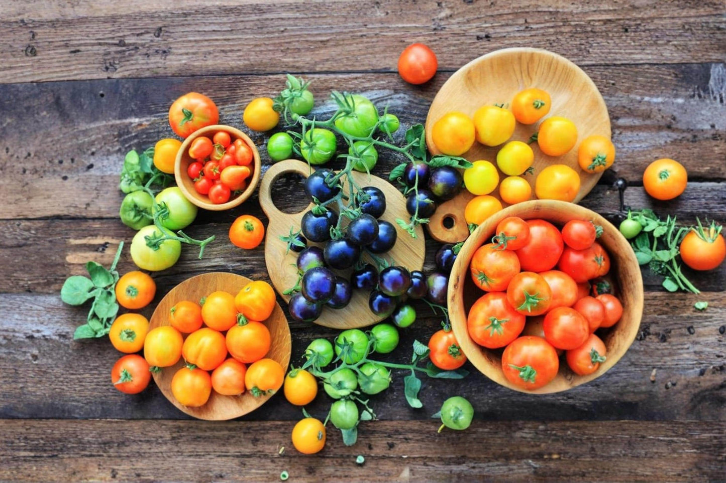 Black Cherry Tomato Seeds – Heirloom Vegetable Seeds for Container & Garden – Solanum lycopersicum