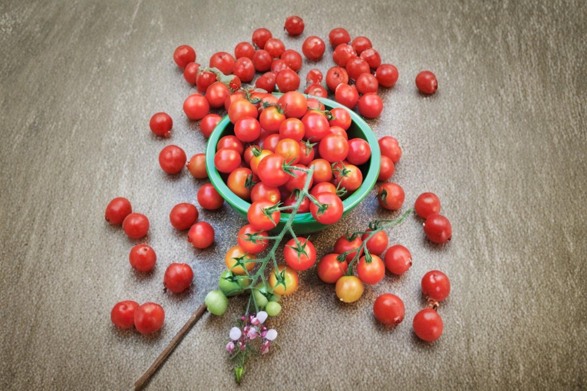 Super Sweet 100 Cherry Tomato Seeds – Solanum lycopersicum, Vining, Red, 100+ Seeds for Garden, Container, or Greenhouse Planting