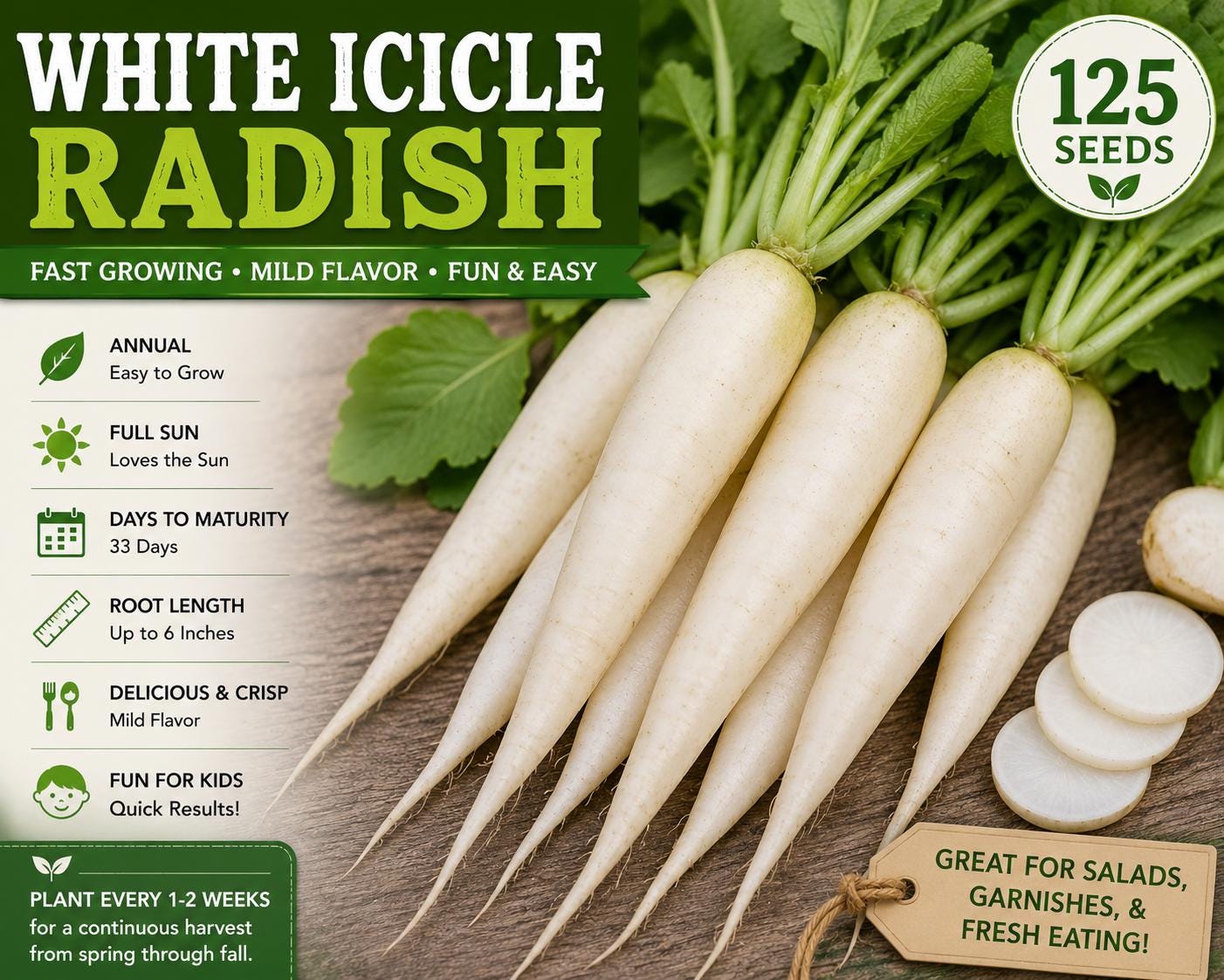 White Icicle Radish Seeds – Raphanus sativus, Fast-Growing Heirloom Vegetable, Tapered White Roots, 125 Seeds