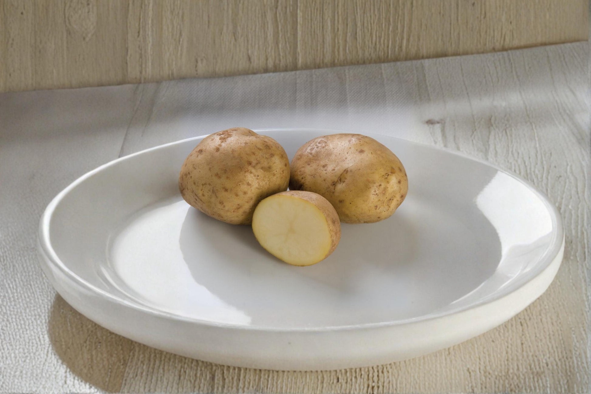 Kennebec Seed Potatoes 10 lb for Planting – High-Yield White Tuber Crop Solanum tuberosum