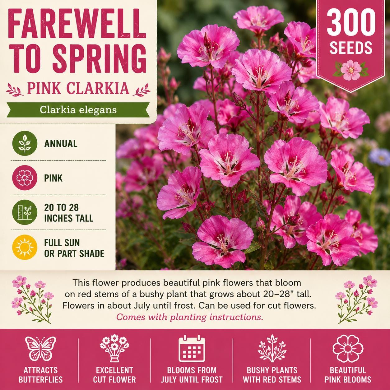 Farewell to Spring Flower Seeds 300 Pink Clarkia elegans Annual Bright Blooming Garden Plant