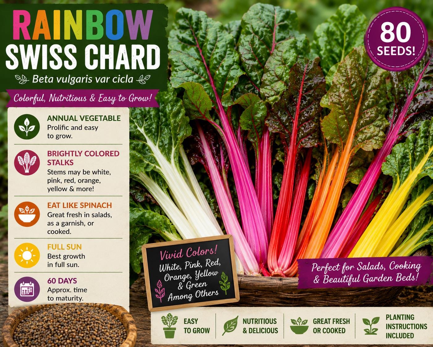 Rainbow Swiss Chard Seeds – Beta vulgaris var. cicla, Colorful Leafy Vegetable for Salads & Cooking, 80 Seeds