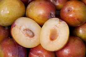 Grenade Pluot Unrooted Cuttings – 2-5 Inches, Hybrid Plum-Apricot, Fruit Tree Propagation, Easy to Grow, Juicy and Sweet