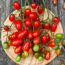 San Marzano Tomato Seeds 100mg Heirloom Italian Paste Solanum lycopersicum for Gardening & Sauces