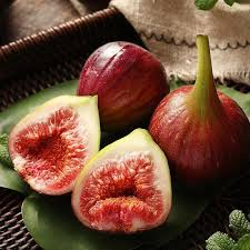 3x 'Monstrueuse' Fig Unrooted Cuttings - Ficus carica Large Sweet Fruit for Gardeners