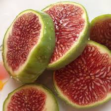 White Adriatic Fig Tree Cuttings – 5 Unrooted Heirloom Fruit Tree, Easy to Root, Home Garden, Edible Fig Plant, Full Sun, Ficus carica