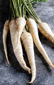 100+ Parsnip Seeds for Planting | Heirloom Pastinaca sativa Root Vegetable for Garden Beds & Containers