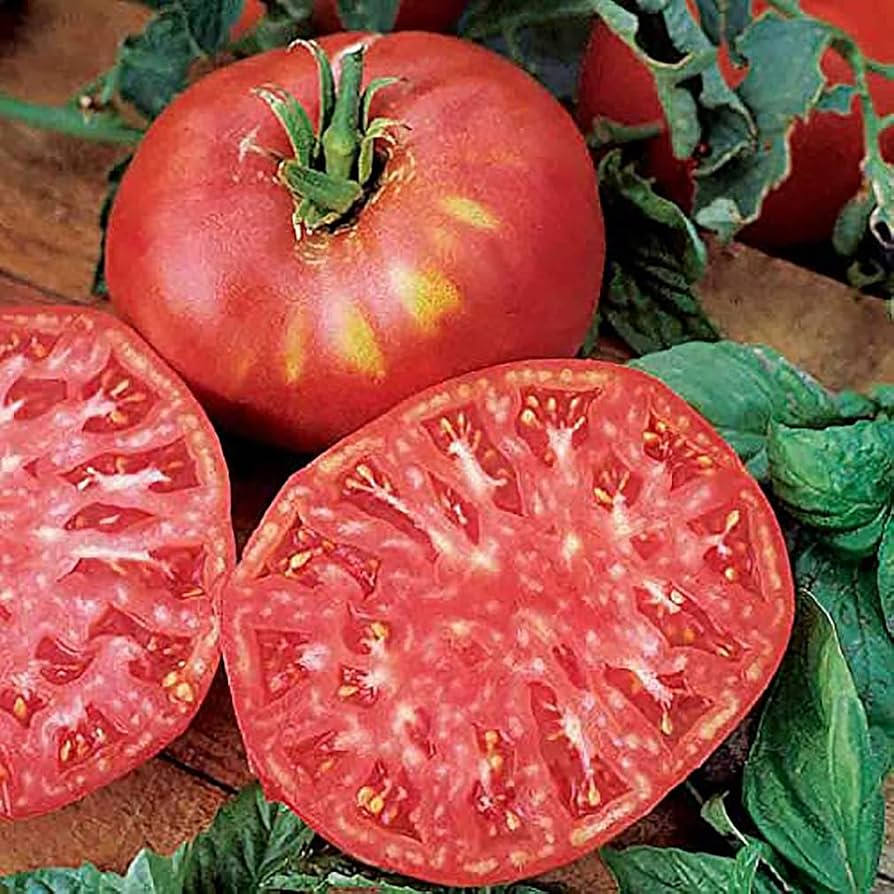 Pink Brandywine Tomato Seeds - Heirloom, Juicy, Flavorful, Solanum lycopersicum, Large Pink Fruits, Indeterminate Vine