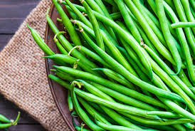 Provider Green Bush Bean Seeds – Phaseolus vulgaris, Heirloom Vegetable Seeds for Home Gardening & Container Planting