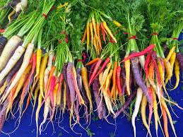 Rainbow Carrot Seeds 500 Pack | Colorful Daucus Carota Blend | Heirloom Root Vegetables for Garden & Containers