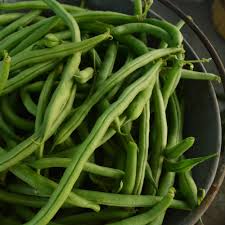 Green Bean Seeds Bulk - Jade Bush Phaseolus vulgaris - High Yield, Easy to Grow Vegetable Seeds for Home Garden