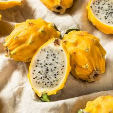 Yellow Dragon Fruit Cutting - 1 Selenicereus megalanthus Rare Pitaya, Self-Pollinating, Tropical Fruit, Fast-Growing Cactus Vine, Zones 10-11