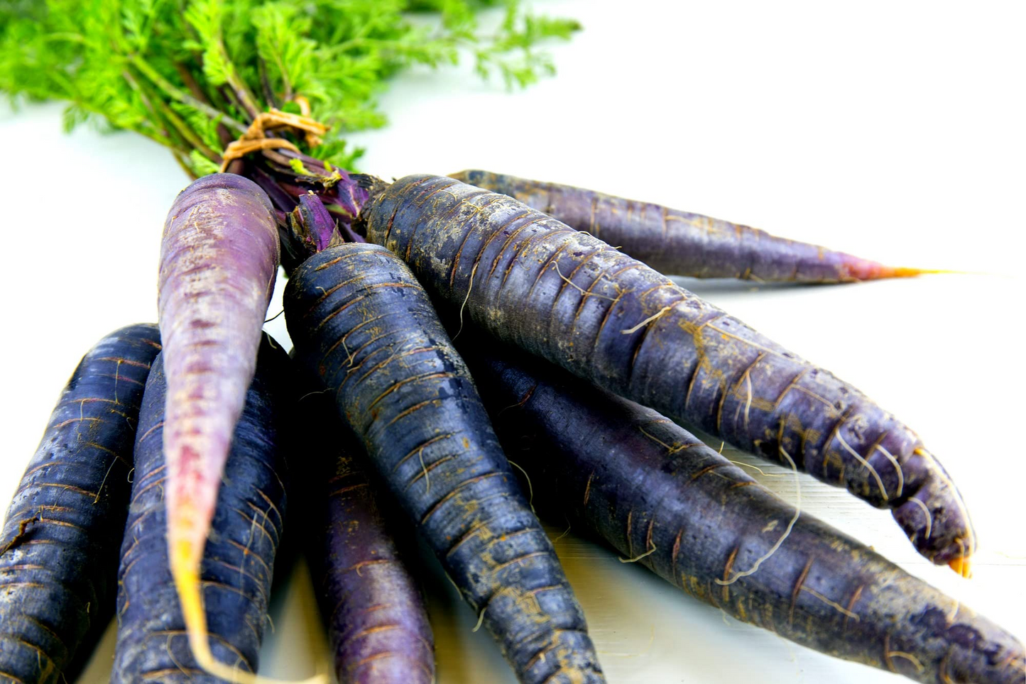 Black Nebula Carrot Seeds | 500+ Non-GMO Heirloom Daucus Carota | Deep Purple-Black Root Vegetable for Garden & Container Planting