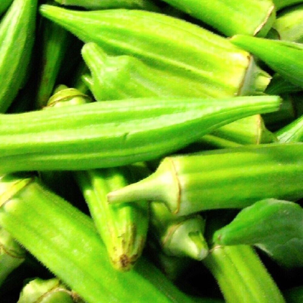Okra Seeds Clemson Spineless Heirloom Non-GMO High Yield Heat Tolerant Vegetable Seeds Abelmoschus esculentus