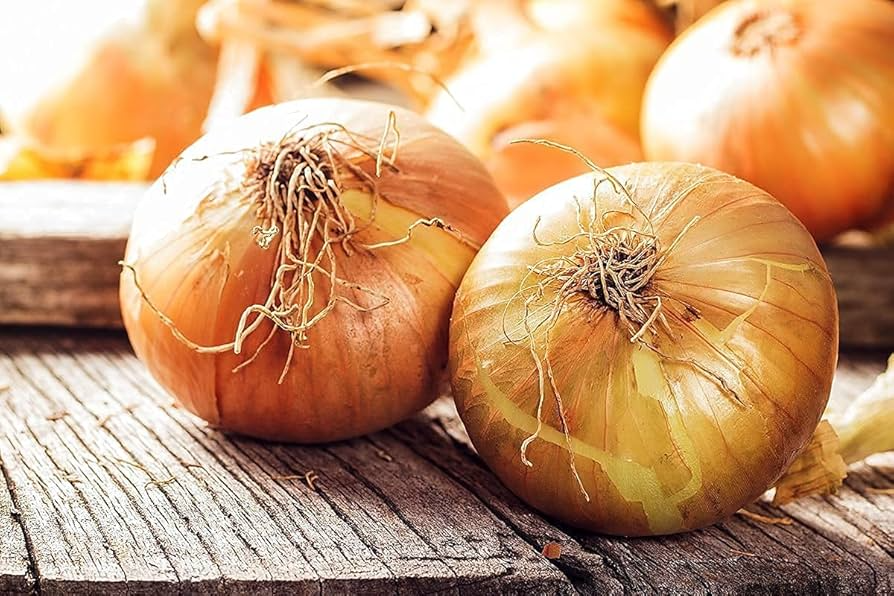 100 Seeds Walla Walla Sweet Onion Allium cepa Large Mild Bulbs for Garden, Salad & Cooking
