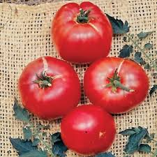 German Johnson Tomato Seeds - Non-GMO Heirloom, Large Pink, Crack-Resistant, Indeterminate Vegetable Seeds