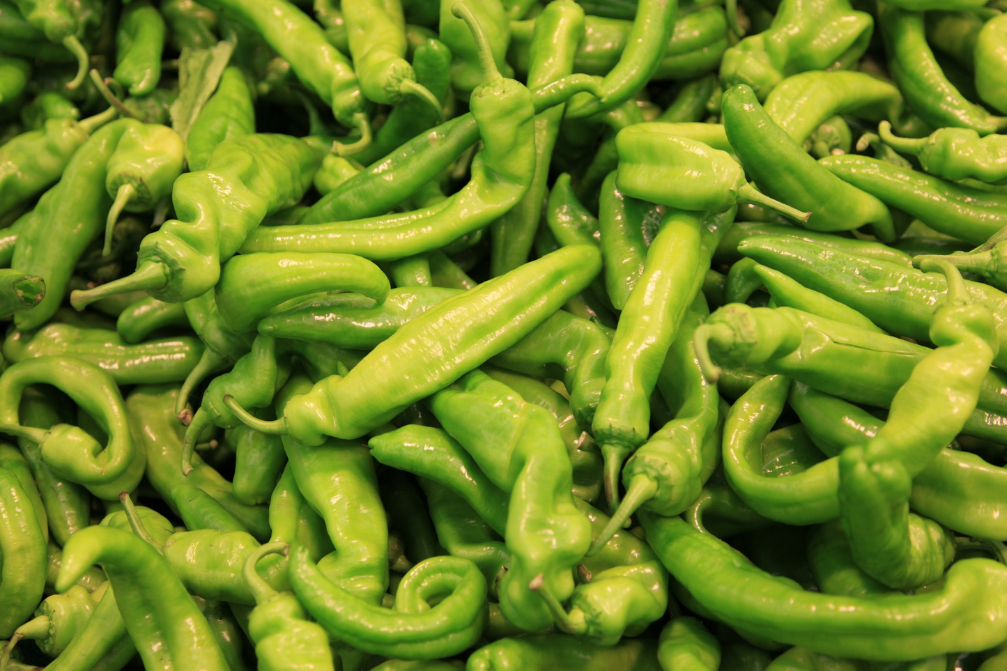Pepperoncini Italian Sweet Pepper Seeds – Heirloom, Mild & Tangy, High Yield, Capsicum annuum, for Pickling & Salads