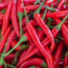 Hot Cayenne Red Long Pepper Seeds – Heirloom, Spicy, High Yield, Heat Tolerant, for Garden & Container Planting, Capsicum annuum