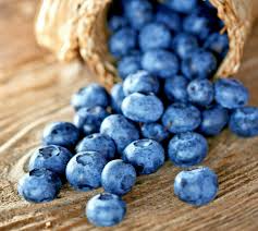 100 Blueberry Seeds Dwarf Top Hat Vaccinium corymbosum Low Bush Compact Edible Fruit Garden Starter