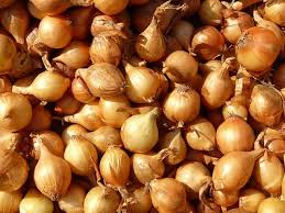 Texas Grano 502 Onion Seeds - Allium cepa Heirloom Sweet Onion for Planting, Gardening & Harvest, Large Bulbs, Mild Flavor