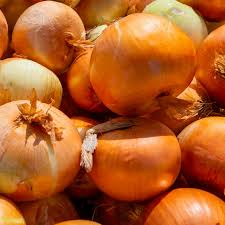 Onion Seeds Utah Yellow Sweet Spanish Allium cepa Heirloom Vegetable Gardening Planting Bulk