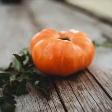 Dr. Wyche's Yellow Tomato Seeds – Heirloom Beefsteak, High-Yielding, Slicing, Solanum lycopersicum