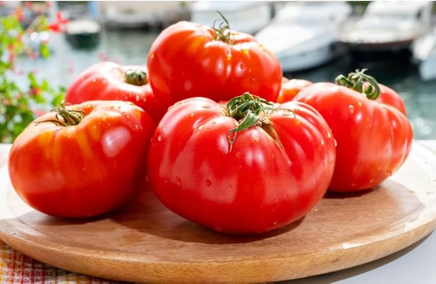 Floradel Tomato Seeds 100mg Heirloom Slicing Solanum lycopersicum for Gardening & Juicy Harvest