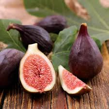 Violette de Bordeaux Fig Seeds – Ficus carica Dark Purple-Black Fruit, Sweet Red Flesh, Heirloom, Self-Pollinating, Garden & Container