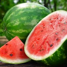 Watermelon Seeds 2g Crimson Sweet Heirloom Citrullus lanatus for Planting, Juicy, Sweet, Large Fruits
