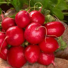 Radish Cherry Belle Seeds – 1g Heirloom Variety for Garden & Container, Crisp & Mild, Fast Growing, High Yield, Raphanus sativus