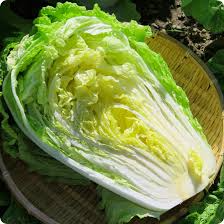 Chinese Cabbage Kogane Seeds – 500mg Heirloom, Sweet & Tender, Fast Growing, Cold Hardy, Garden & Container Planting