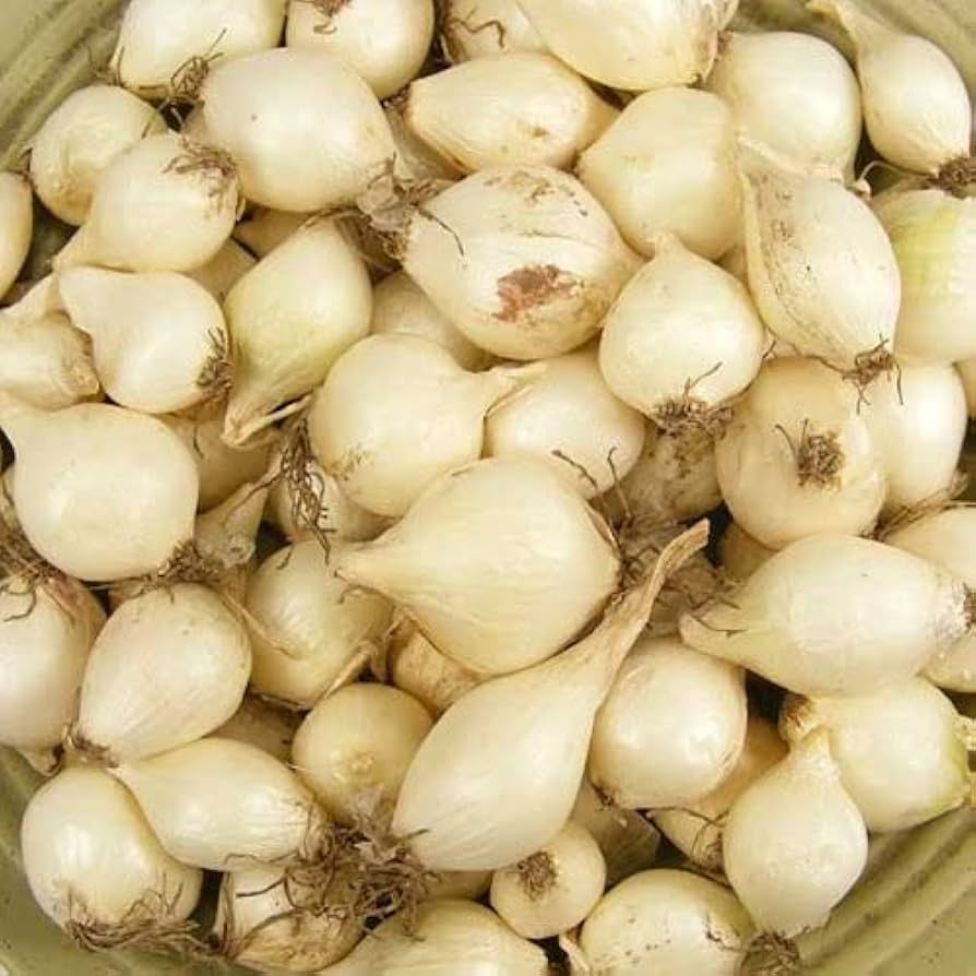 White Onion Sets – Non-GMO, White Ebenezer Variety, 8 oz. Bulbs for Planting, Cooking & Storage