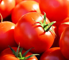 Celebrity Tomato Seeds, F1 Hybrid, High-Yield, Disease-Resistant, Solanum Lycopersicum, Slicing & Salad Tomatoes